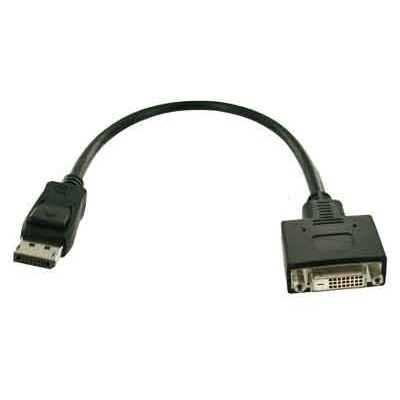 Fujitsu Display Port auf DVI-D Adapter Kabel