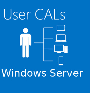 Microsoft User CAL