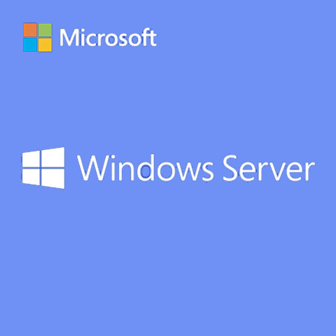 Windows Server & SQL